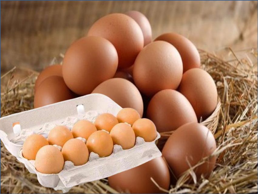 10 pcs Yazikoy Natural Village Eggs
