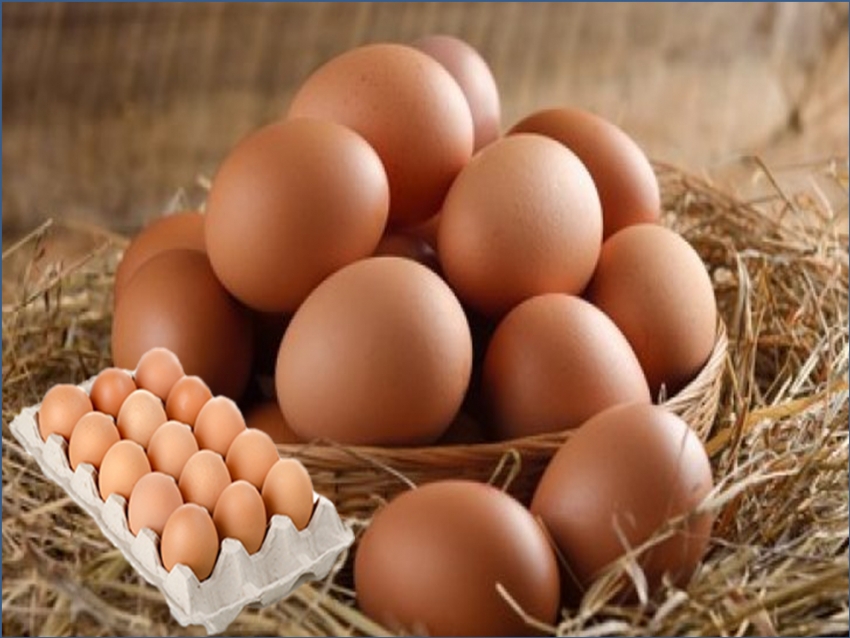 15 pcs Yazikoy Natural Village Eggs