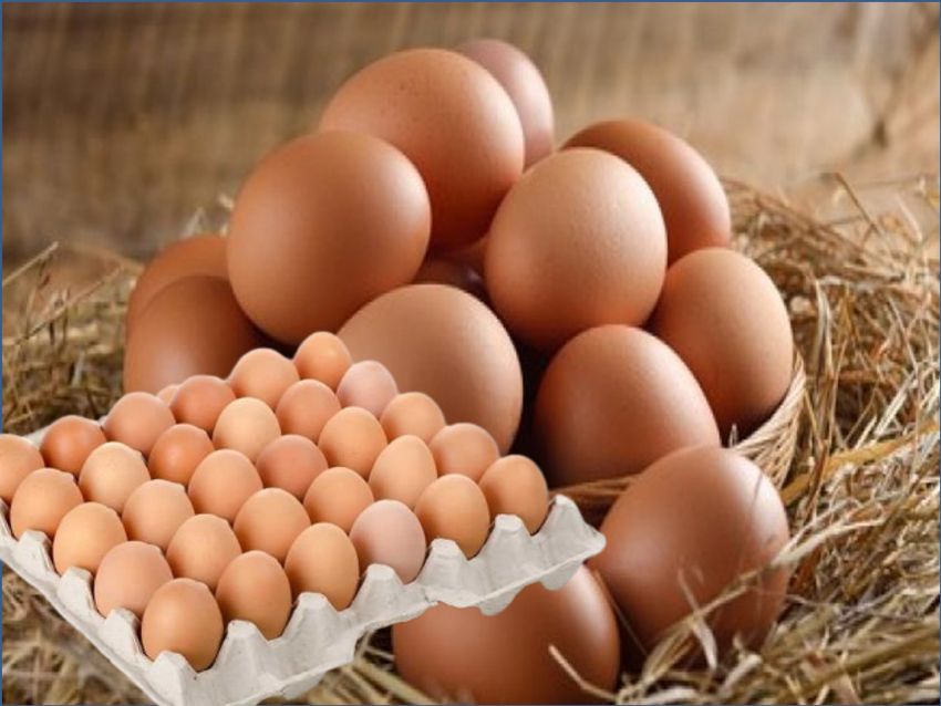 30 pcs Yazikoy Natural Village Eggs